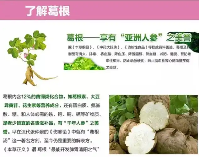 葛根,中药名.为豆科植物野葛的干燥根,习称野葛.