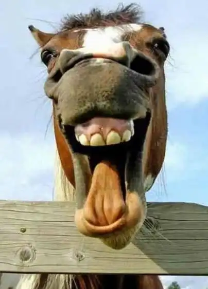 一张能把别人笑死的图片,最后一张笑死我了图片