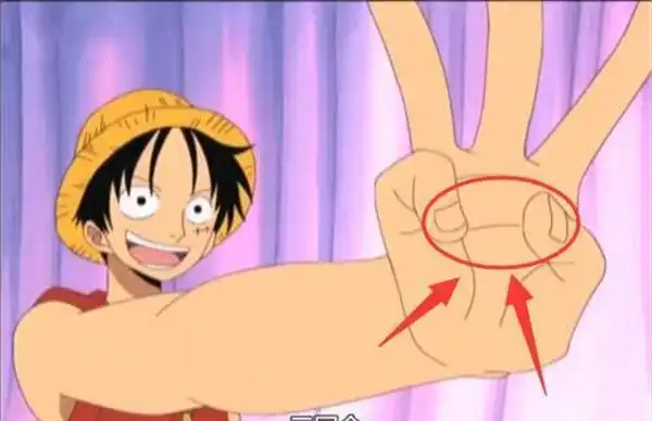 盘点海贼王中人类无法做到的五种手势,网友:连贝基的都学不来!