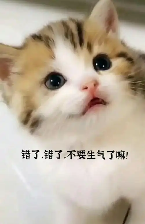 我们的少年时代之karry回归