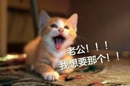 猫星人老公表情包(斗图啦) - 斗图大会 - 金馆长表情库 - 真正的斗图