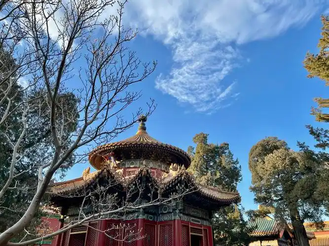 故宫御花园600岁绝美如初_北京日报app北京号