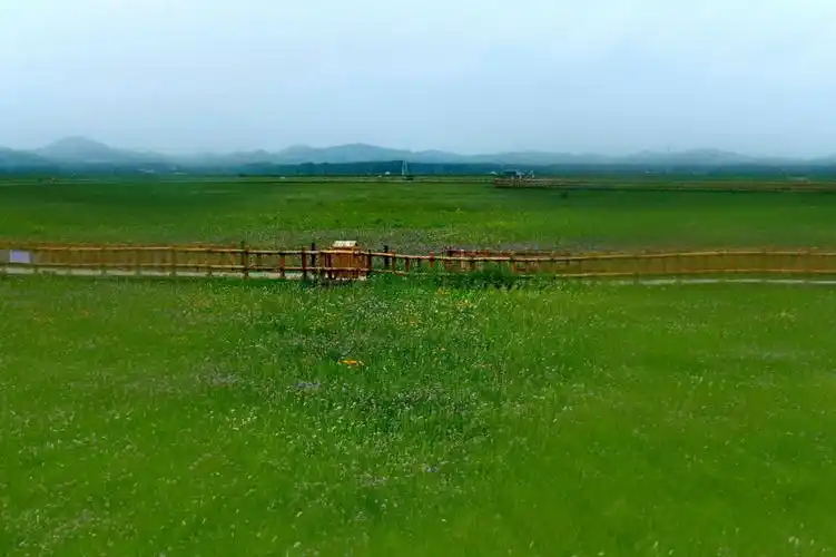 五花草甸美沽源人情浓