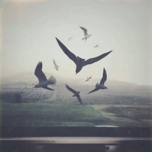 90后孤寡老人想找一个耐看有深度的微信头像,有推荐吗?