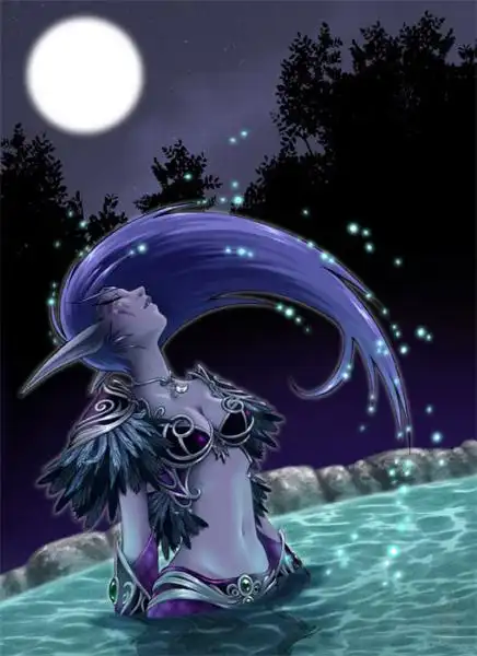 求 一张 暗夜精灵的图