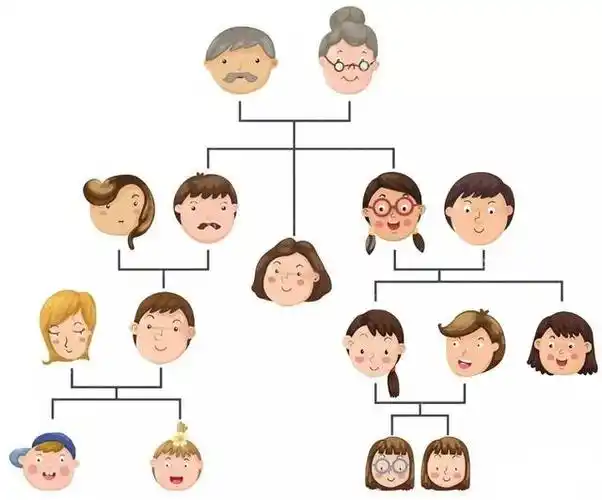 海带子是什么,海带子是什么意思(从最初演化开始就和植物没有关系)