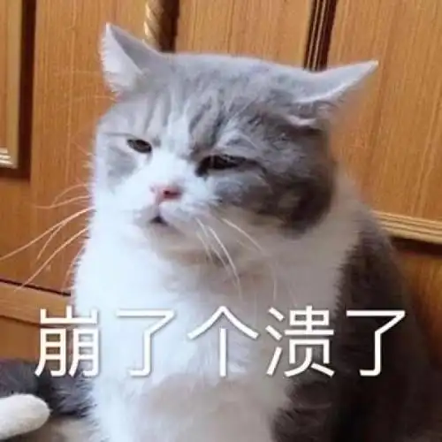 林一笑/可爱又有沙雕气质的猫咪表情包