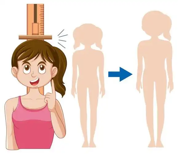 女孩乳房发育时吃什么可以发育的大