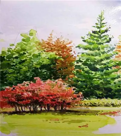 标签关键词:树丛水彩画