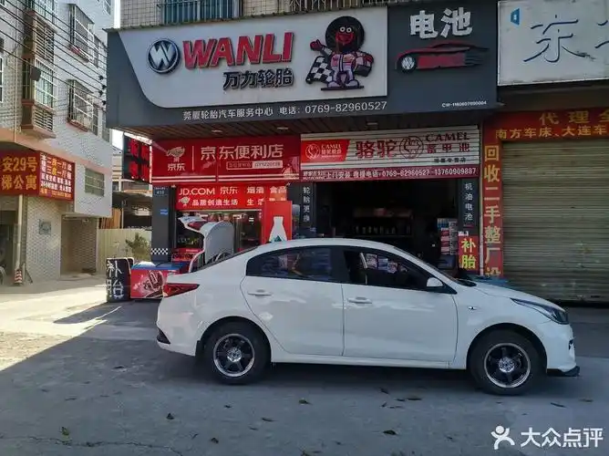 骆驼蓄电池(塘厦专卖店)图片