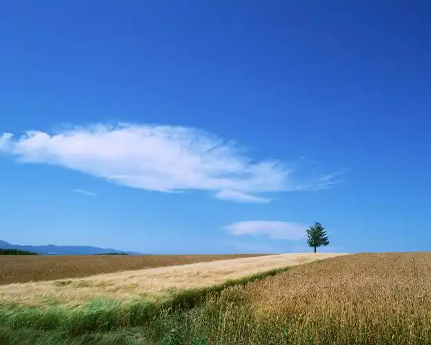 公路上的蓝天白云风景