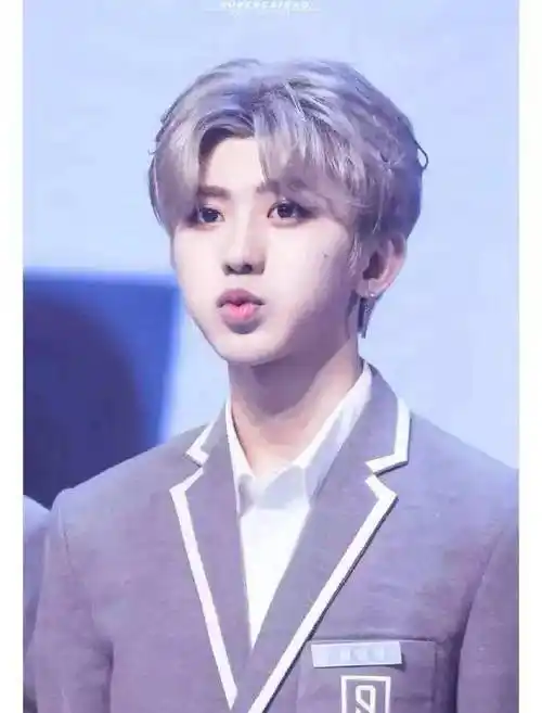 男星嘟嘴卖萌:蔡徐坤王俊凯可爱,鹿晗养眼,邓超满是抬头纹_林更新_易