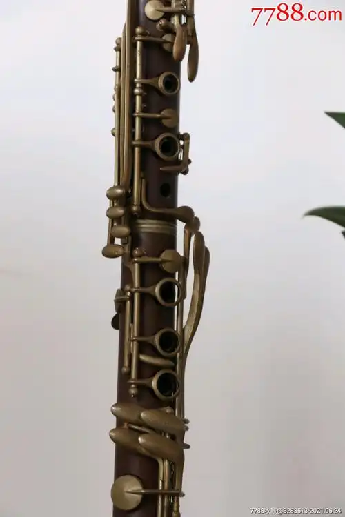 黑管是什么乐器(黑管是什么乐器的别称)