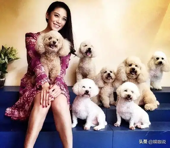 刘恺威的第一任妻子是谁(刘恺威一妻九女友揭秘)