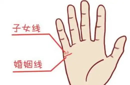 女人手掌纹路图解怎么看子女线
