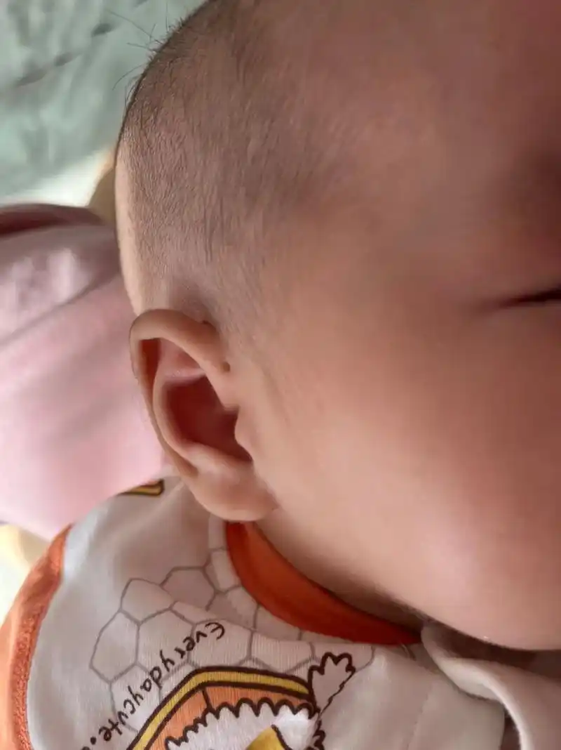 爸妈给宝贝遗传了什么