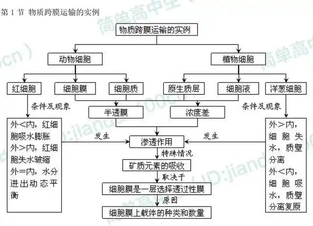 高中生物必修一概念图汇总,敢说你不需要吗?