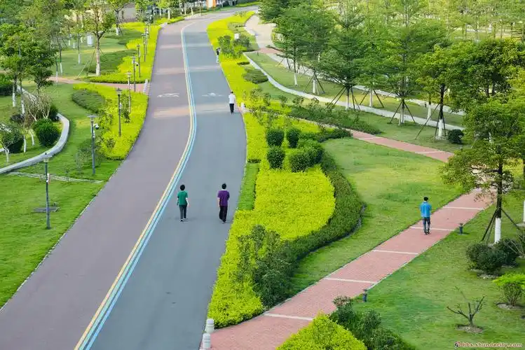 美丽的马拉松跑道