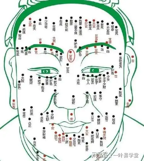 男人痣相图解大全 全身  男人痣相图解大全如下,男人肩膀有痣挑重担