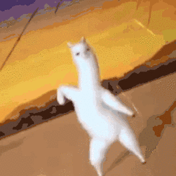 太魔性了最火羊驼沙雕gif表情包分享可保存