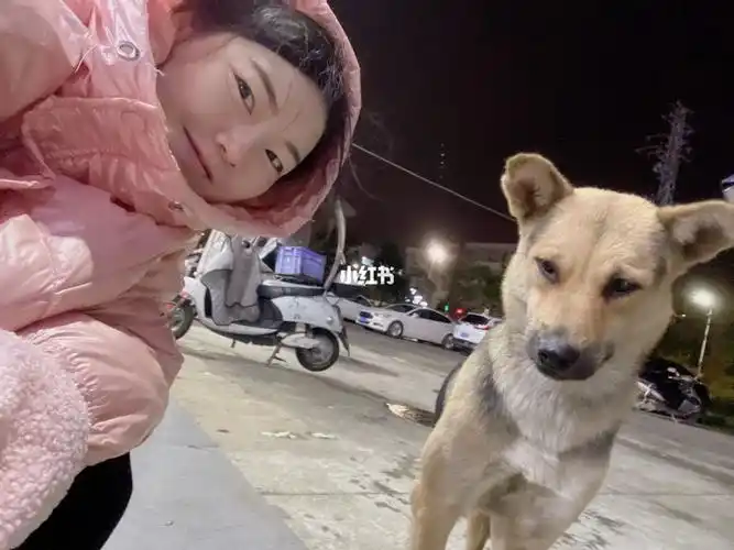 每天还那么的自由自在,开心无比,就连生狗娃都没操心过,都是我婆婆