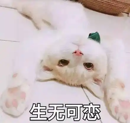 生无可恋_无可表情