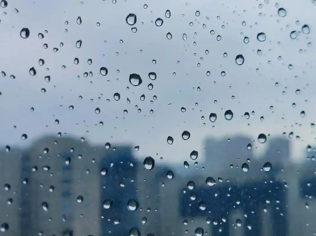 窗外的雨.#我的城市下雨了 #音乐 #手机摄影 #原创 #下 - 抖音