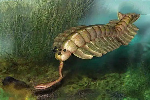 怪异的史前生物|动物|恐龙|两栖动物|爬行动物|食肉动物_网易订阅