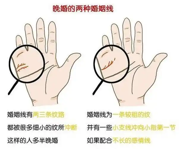 婚姻线属于以上2种的人婚姻财十分旺盛