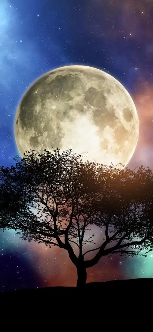 iphone桌面壁纸最经典(iphone壁纸做人最重要的就是开心)(28)