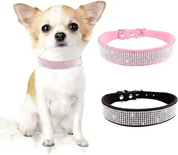 2 件吉娃娃项圈,小狗项圈适合小型犬,紫色小狗项圈,黑色水钻狗项圈可