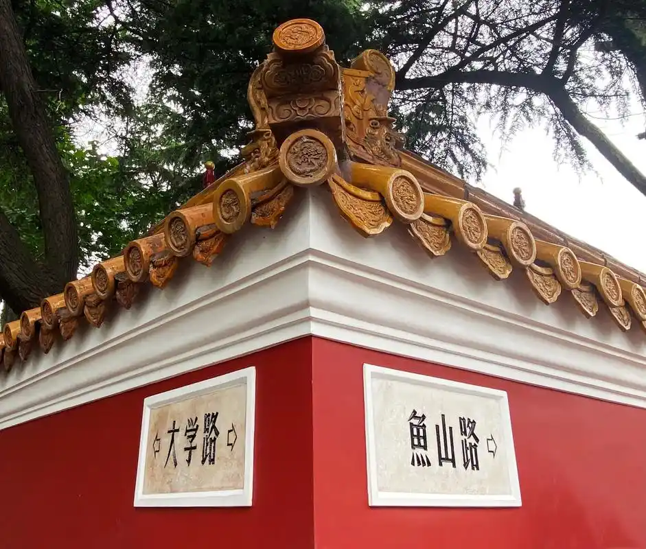 青岛龙江路大学路 龙江路太美啦 我7815青岛 - 抖音