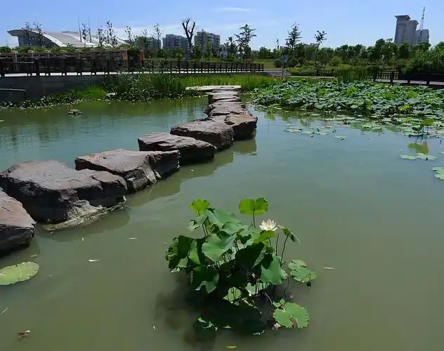 p>白天鹅公园在 a target="_blank" href="/item/阜宁/871643" data