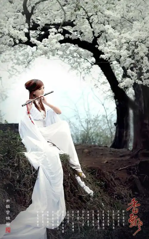 求一张 一个穿着白色裙子 坐在盛开梨树 吹笛子的 图片