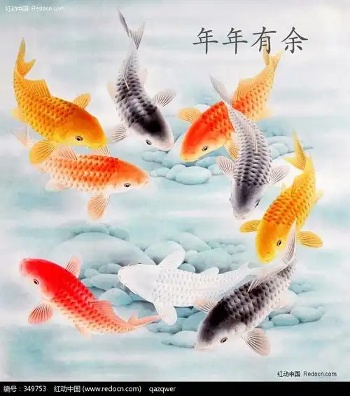 年年有鱼图片素材