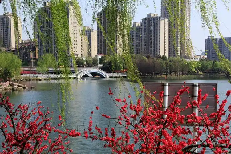 白马湖公园春色-常德