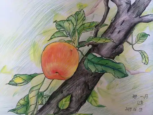 少儿彩铅画.郑一丹,12岁.