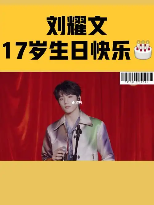 9015刘耀文17岁生日快乐98ˉ弟弟快手生日直播cut.