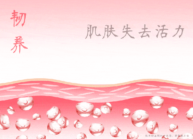 640_462gif 动态图 动图