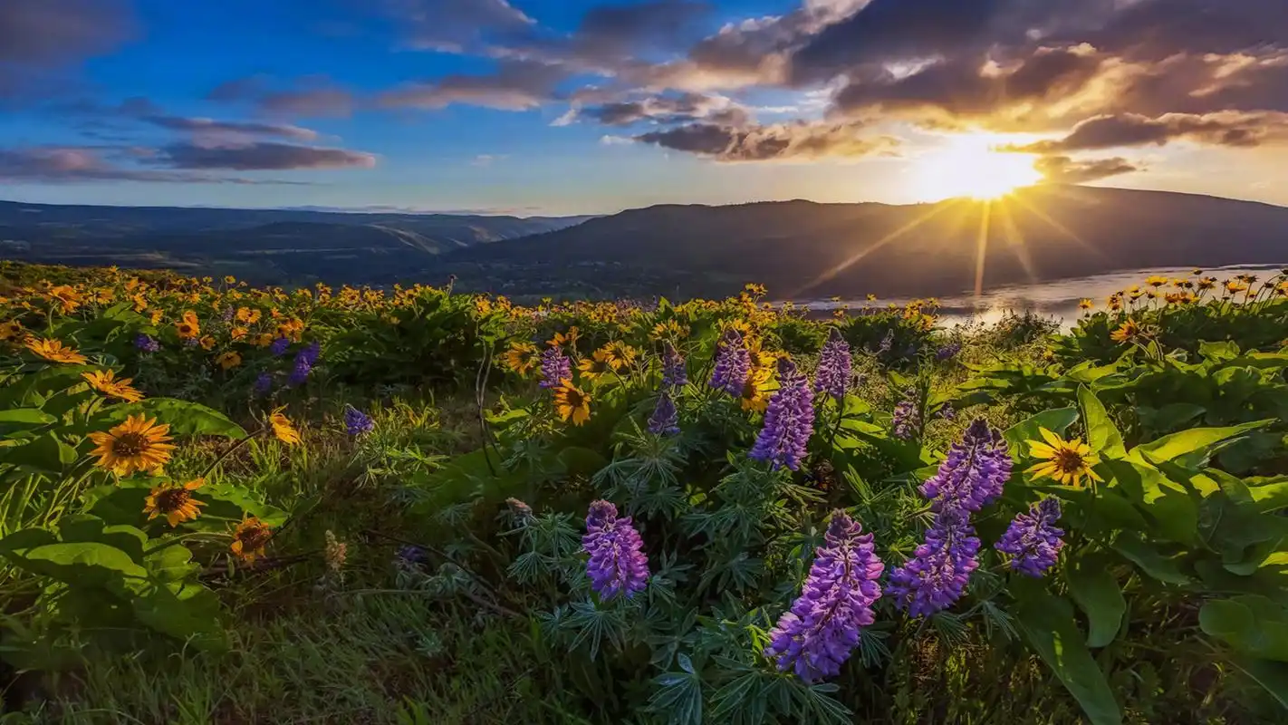 绿色护眼田园美景图片桌面壁纸高清大图预览1920x1080_风景壁纸下载