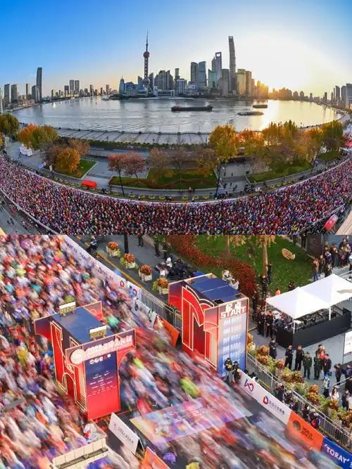 上海马拉松##2023上海马拉松