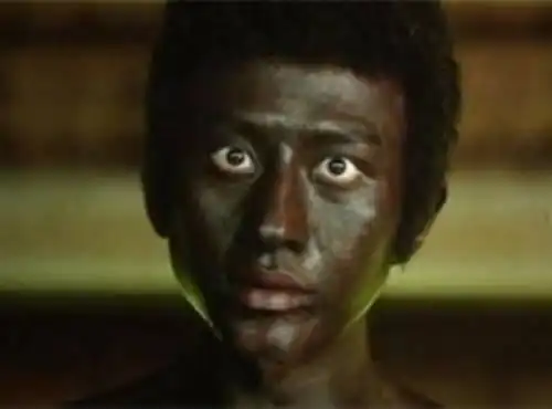 世界最黑小孩诞生于南非?天黑自带"隐形"功能(2)