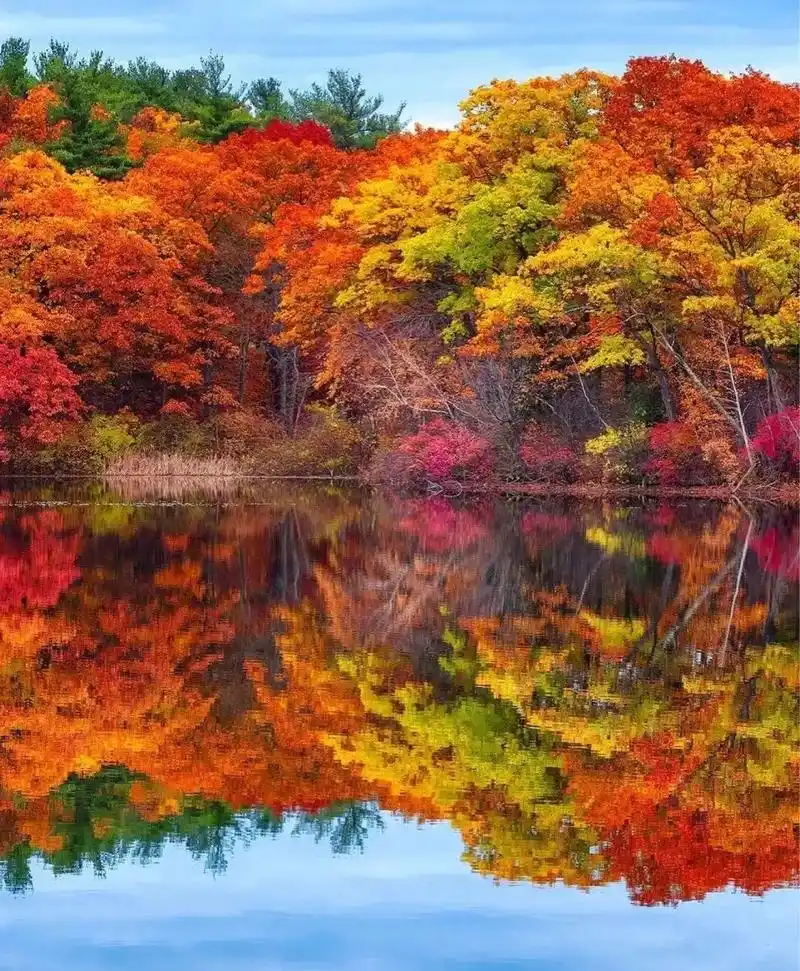 这些摄影师拍的唯美秋叶,美醉了一整个秋季!