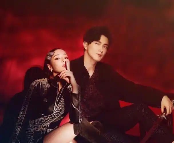 高伟光迪丽热巴