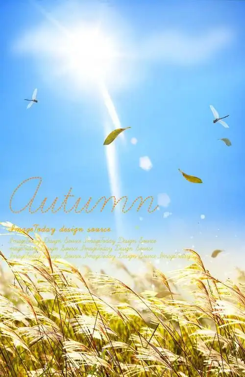 个性简单透明相框psd分层模板,psd素材,素材免费下载_绘艺素材