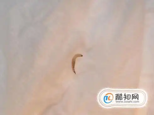 蛾蚋幼虫进入人体怎么办优质