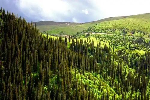 壮丽峻岭高山草原