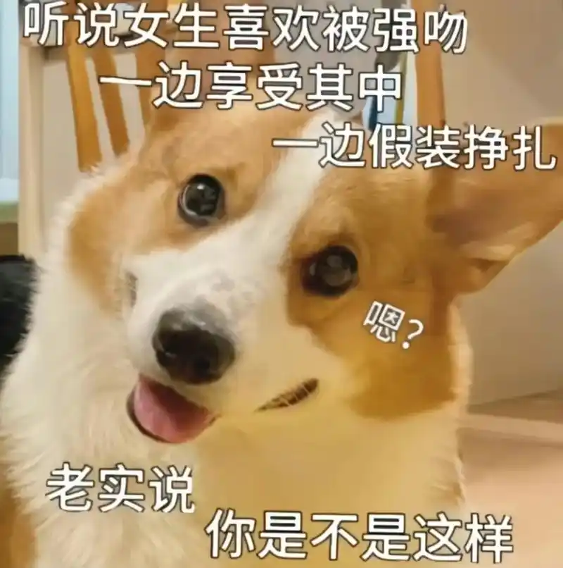 和冤种对象聊天必备表情包.#发给对象表情包 #撩妹表情包 # - 抖音