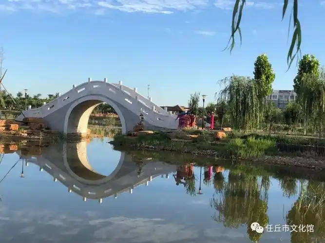 任丘市随手拍绿化摄影作品展开展啦