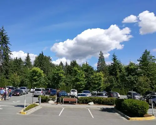 温哥华市内森林公园